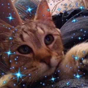 Meet your Posher, Ellen